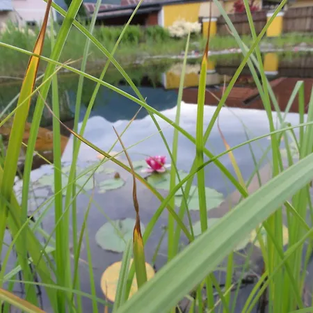 Otel Familiengasthof Maier