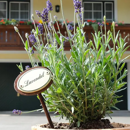 Familiengasthof Maier Hotel