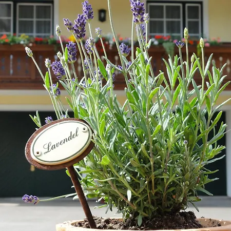 Familiengasthof Maier Otel