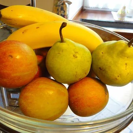 Hotel Familiengasthof Maier