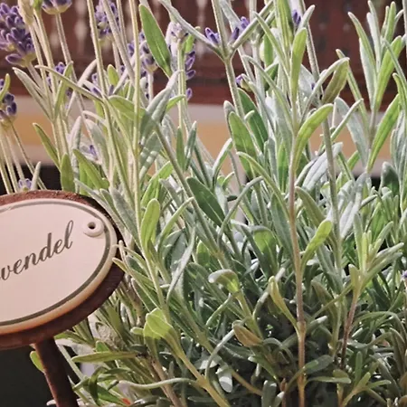 Familiengasthof Maier ホテル