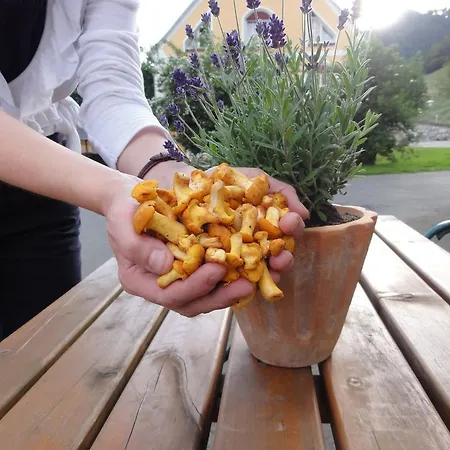 Familiengasthof Maier Otel 3*