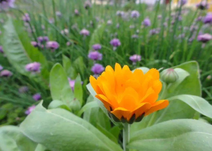 Hotel Familiengasthof Maier Mautern In Steiermark
