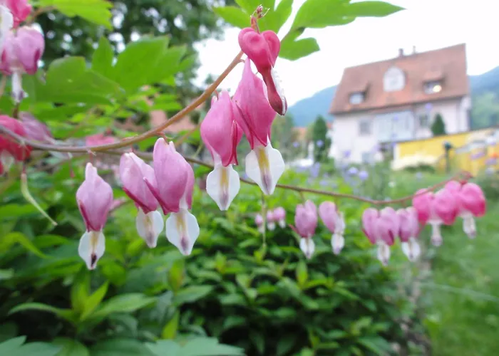 Familiengasthof Maier Hotel Mautern In Steiermark