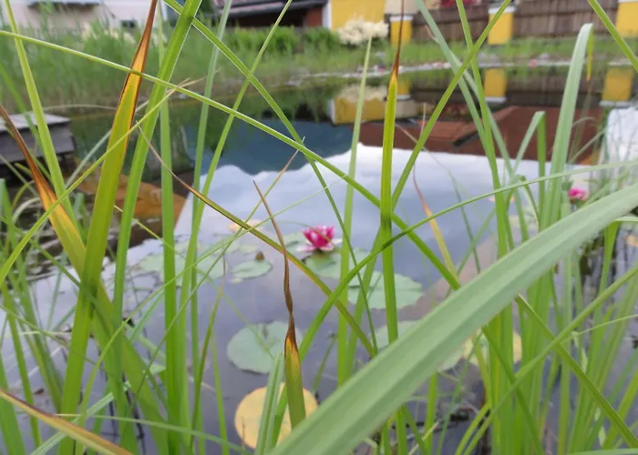 Hotel Familiengasthof Maier