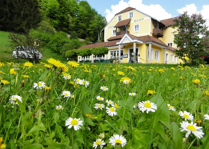 Hotel Familiengasthof Maier Mautern In Steiermark