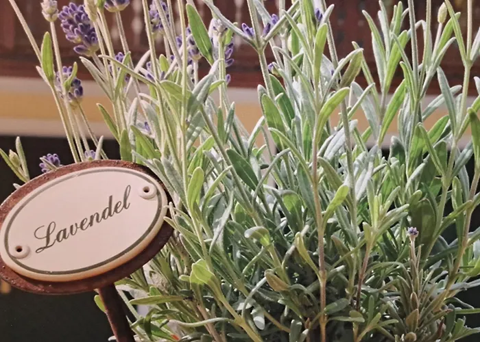 Familiengasthof Maier Hotel