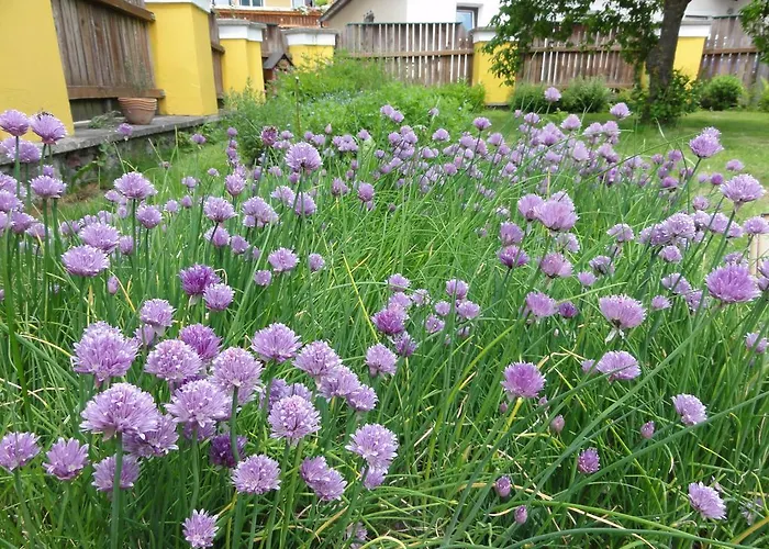 Hotel Familiengasthof Maier