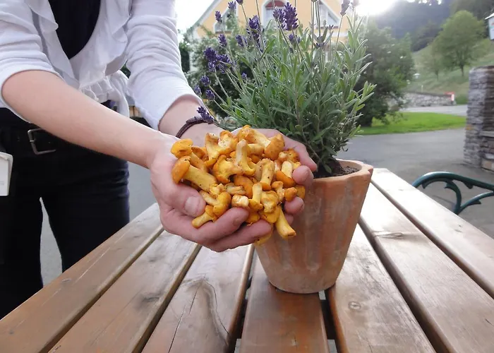 Familiengasthof Maier Hotel 3*